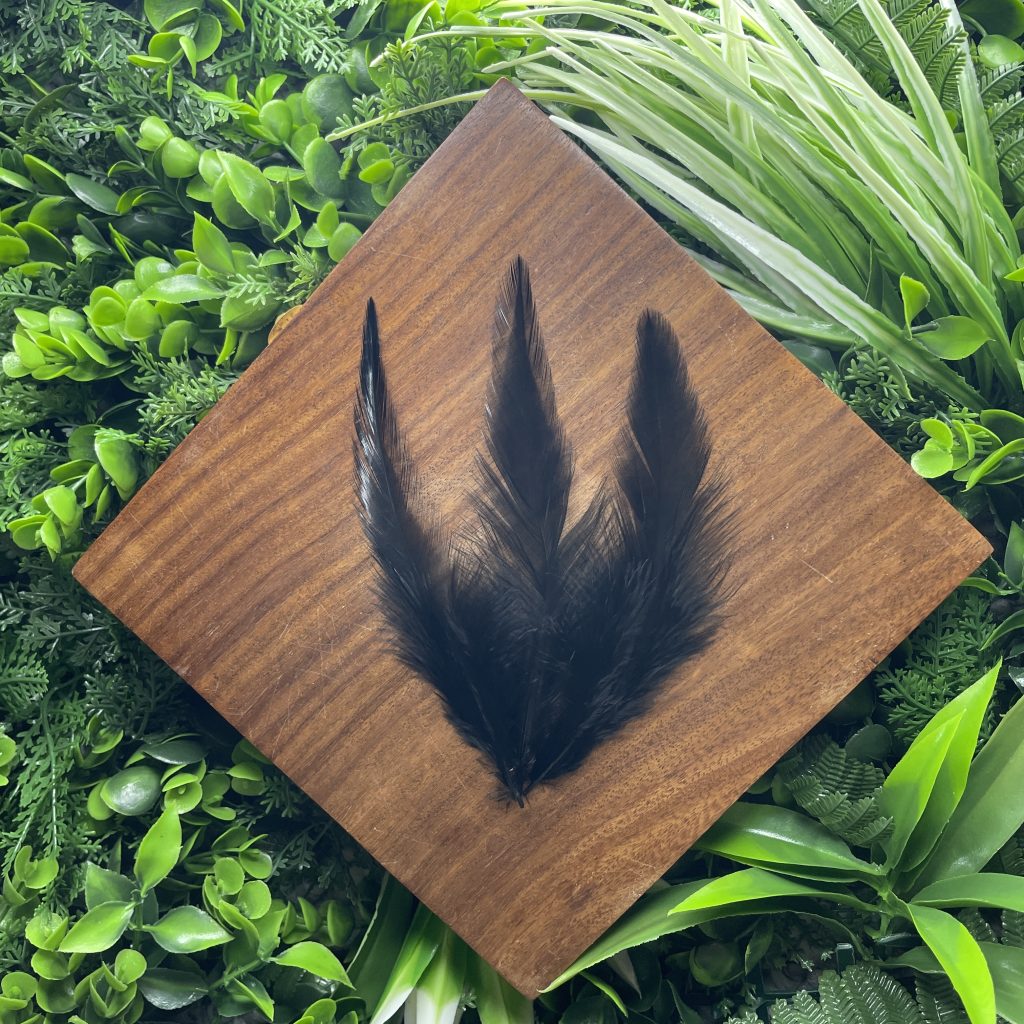 Ticeed 50 Pièces Plumes Naturelles De Faisan - Lot Assorti 3 Styles - 10-25cm Pour Loisirs Créatifs
