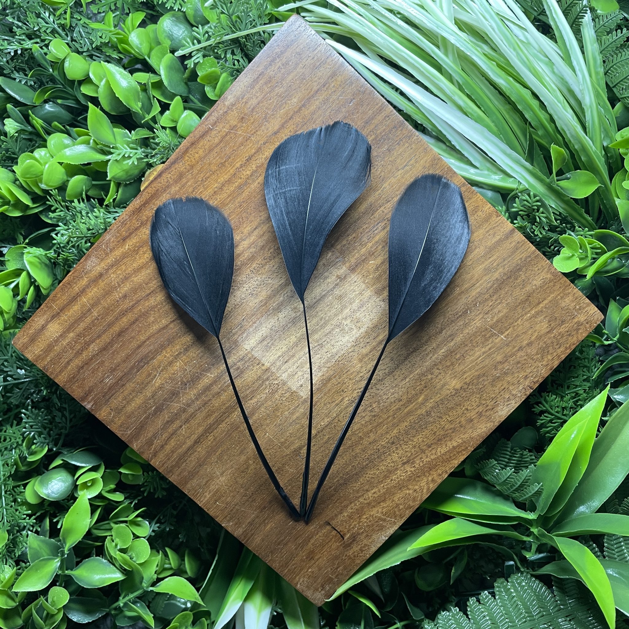 100 Plumes D'Oie Naturelles Colorées 4-8 Cm - Pour Artisanat, Décoration Mariage, Bijoux, Maison