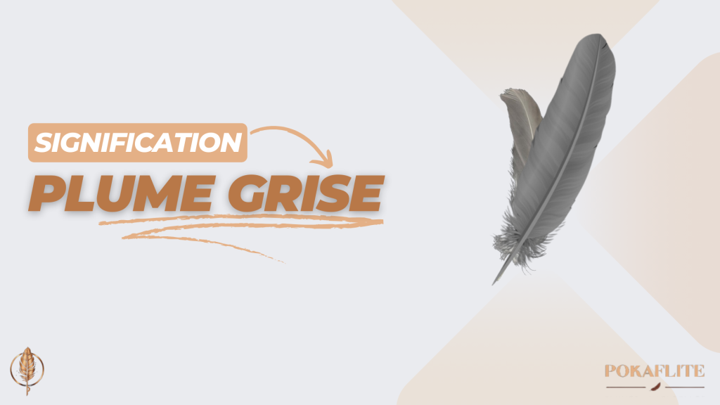 Quelle est la signification d'une plume grise ? | Plumes Naturelles